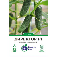 Огірок Директор F1 10 насінин СПЕКТР